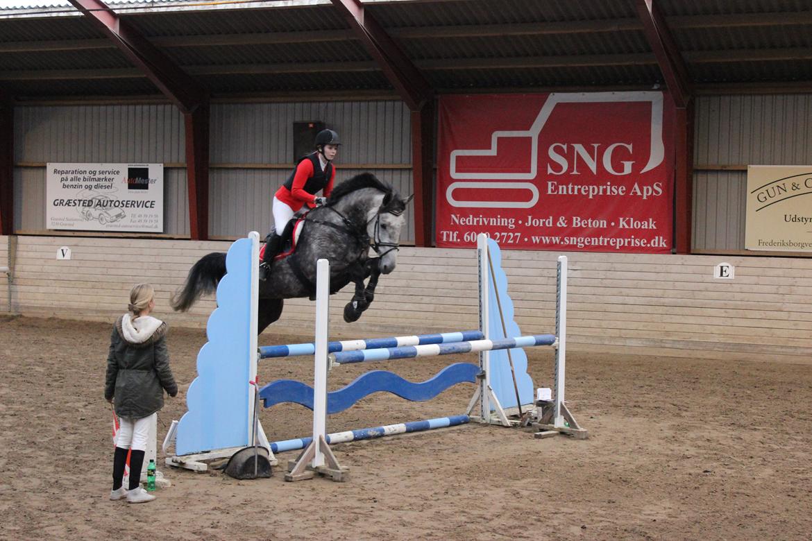 Holstener Ammeli billede 7