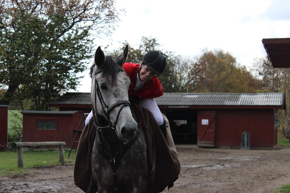 Holstener Ammeli billede 9