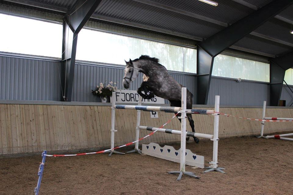 Holstener Ammeli billede 11