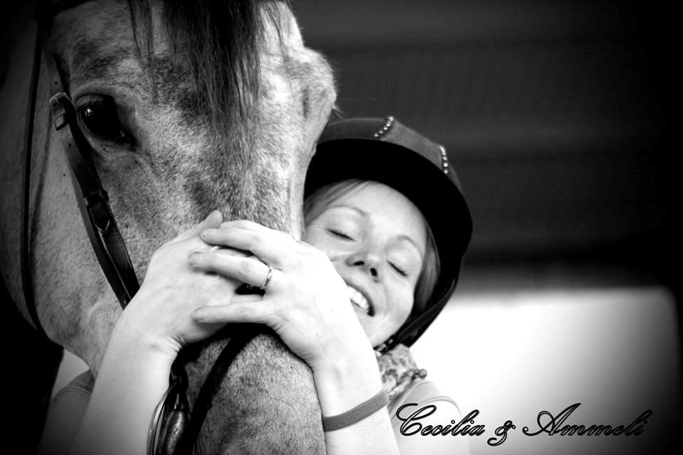 Holstener Ammeli billede 13