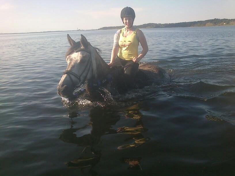 Holstener Ammeli billede 14