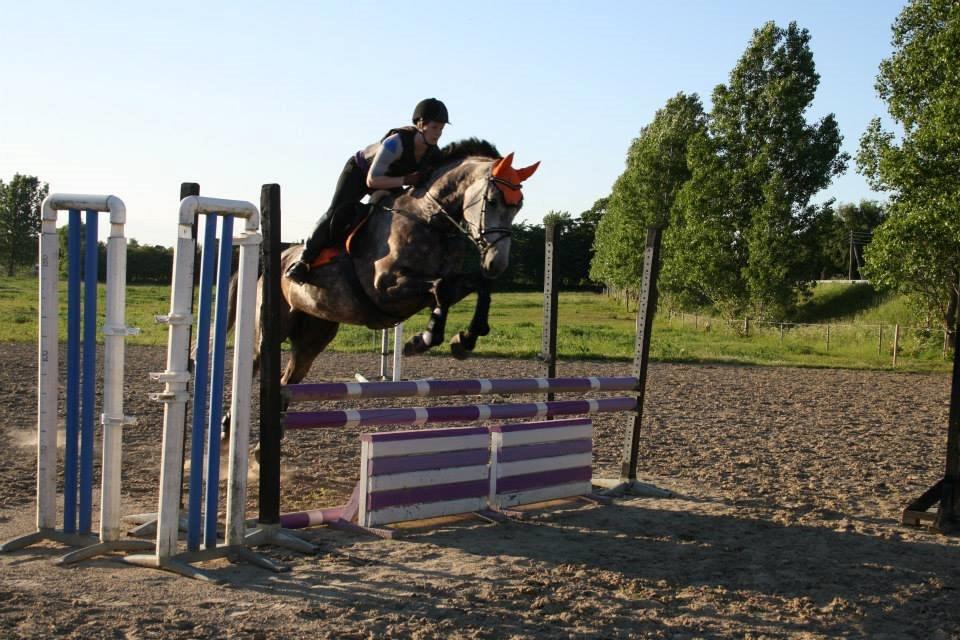 Holstener Ammeli billede 15