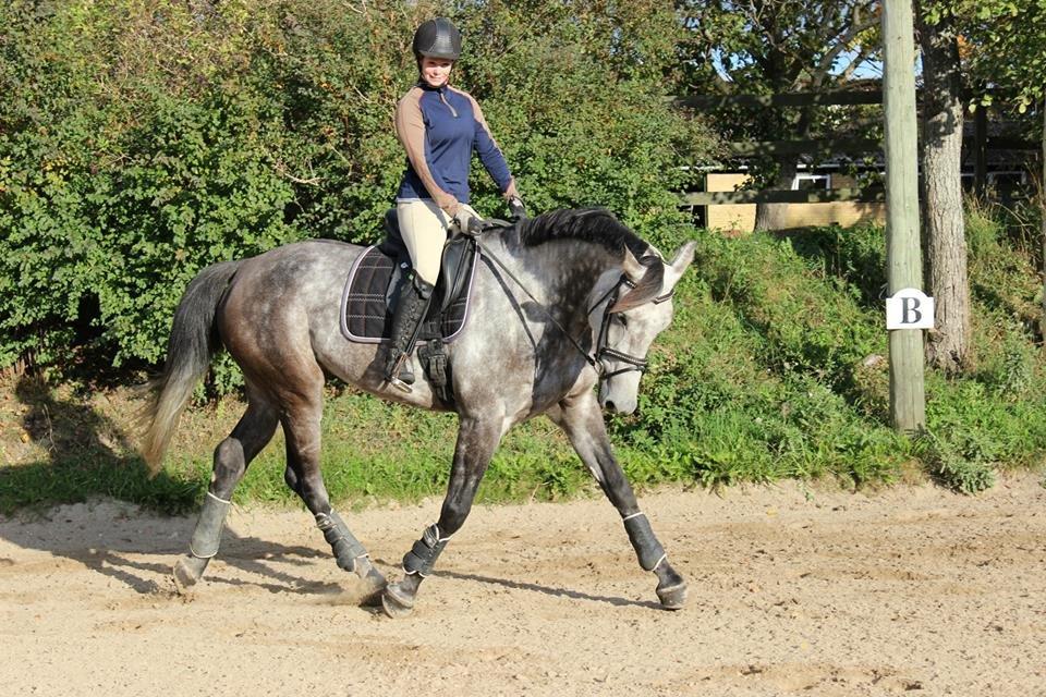 Holstener Ammeli billede 18