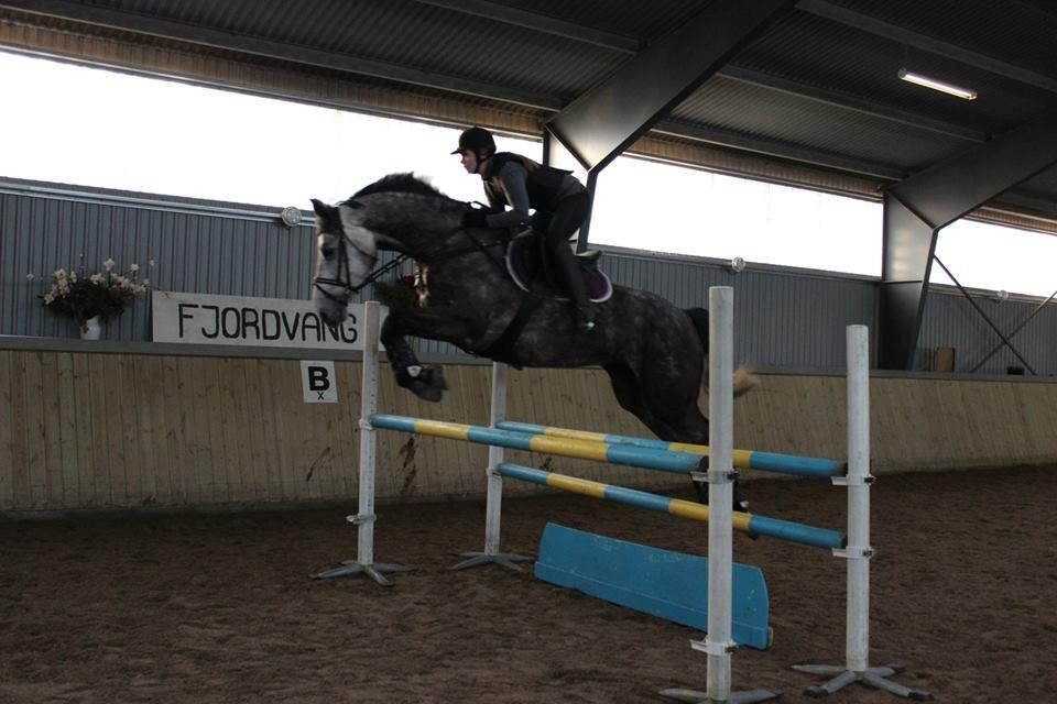 Holstener Ammeli billede 19