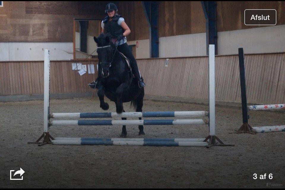 Oldenborg Sarah billede 19