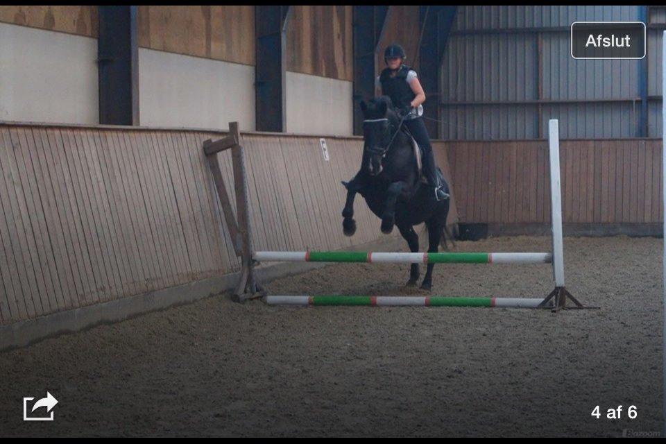 Oldenborg Sarah billede 20