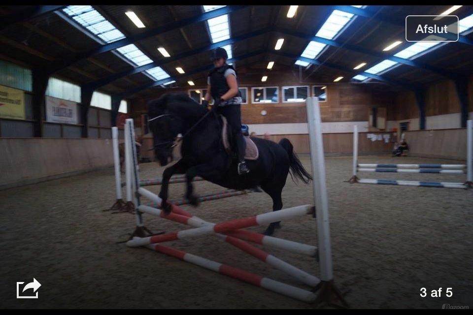 Oldenborg Sarah billede 22