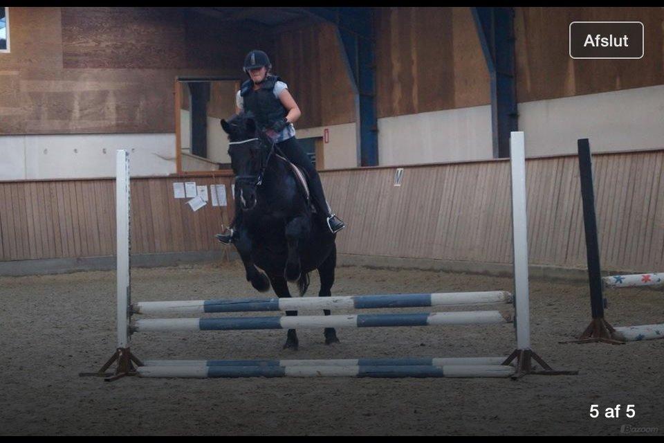 Oldenborg Sarah billede 23