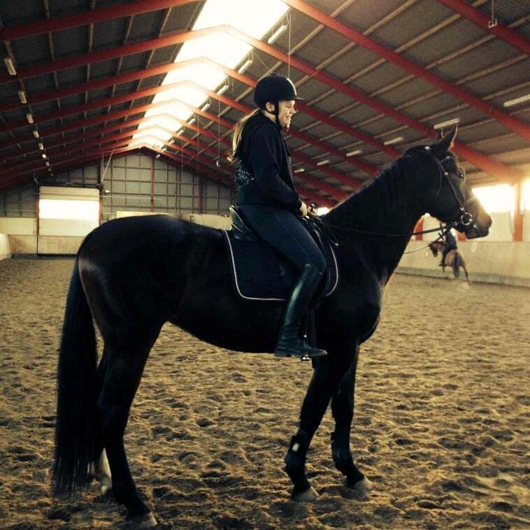 Oldenborg Cille Søndervang billede 4