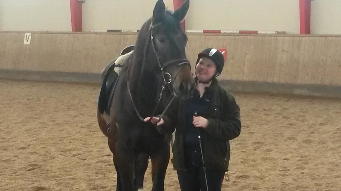 Oldenborg Cille Søndervang - Den dejligst hest i verden<3 billede 6