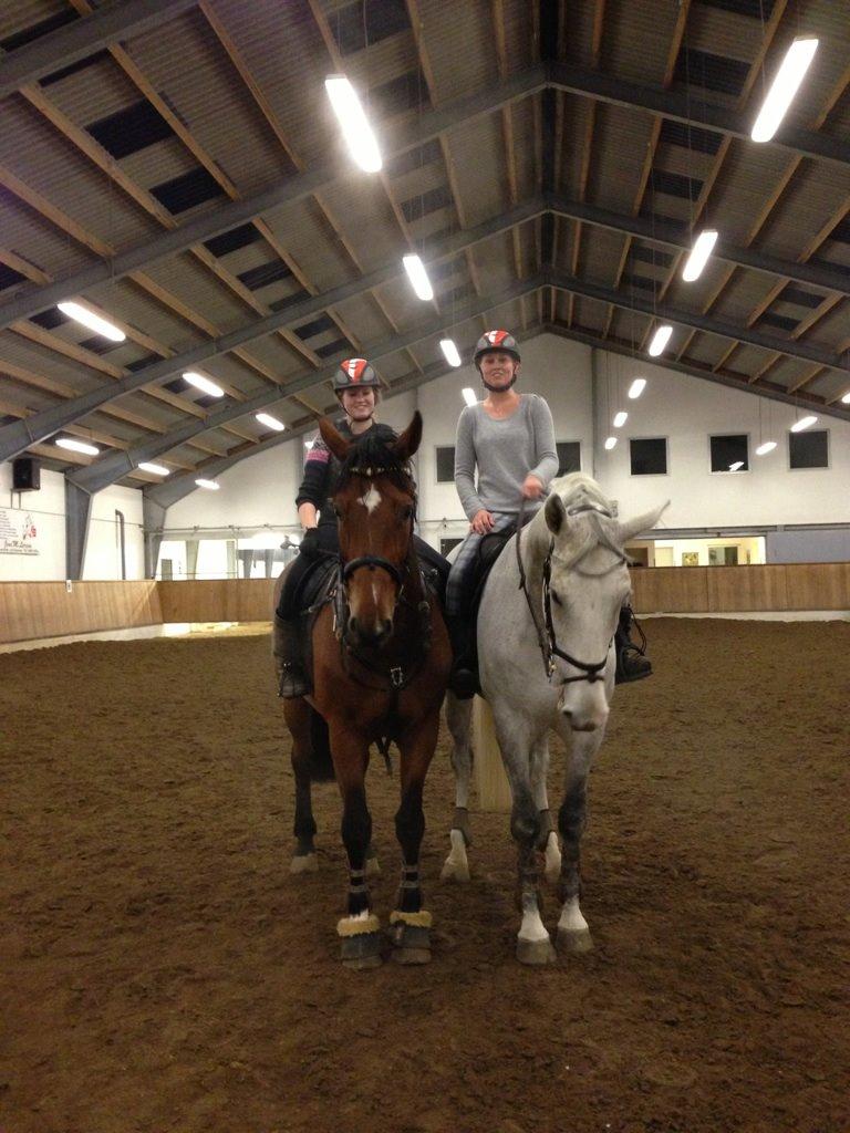 Tysk Oldenburger Landini - Landini og vicktor efter træning <3 billede 13