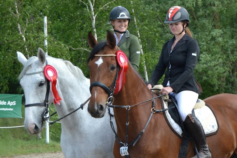 Tysk Oldenburger Landini billede 18