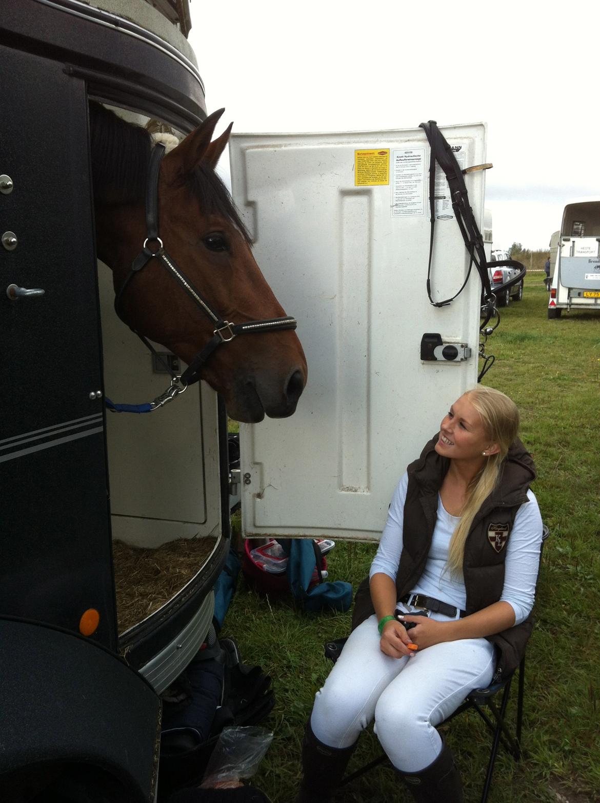 Tysk Oldenburger Landini - storhestedag 2012 billede 1