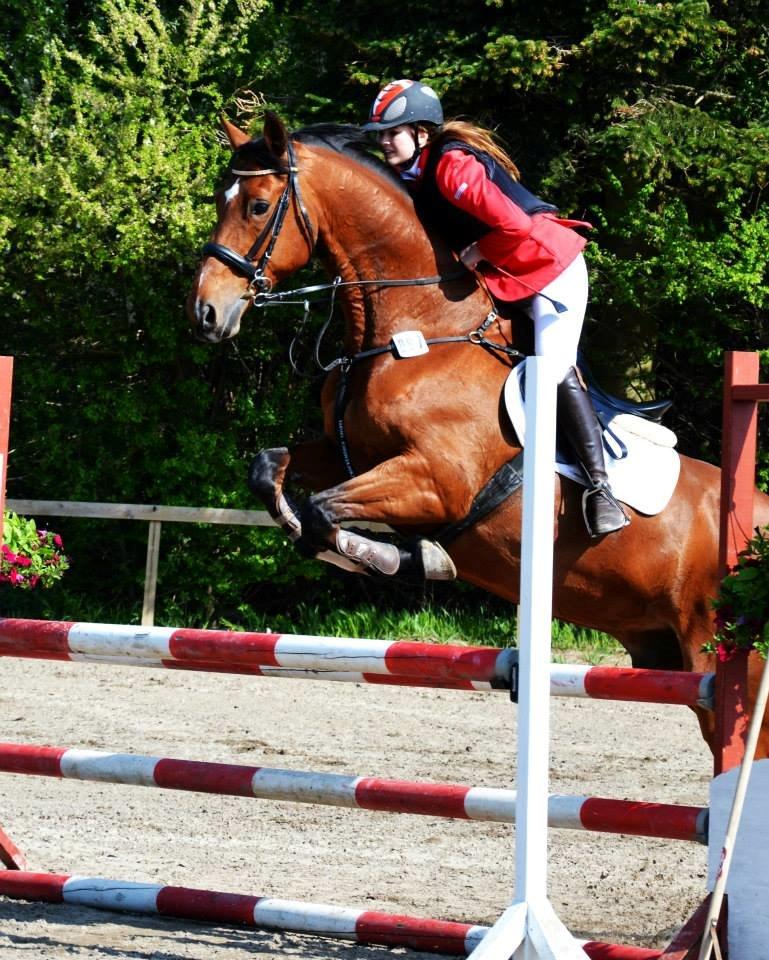Tysk Oldenburger Landini - min søster og lande til maj stævne på glk  billede 19