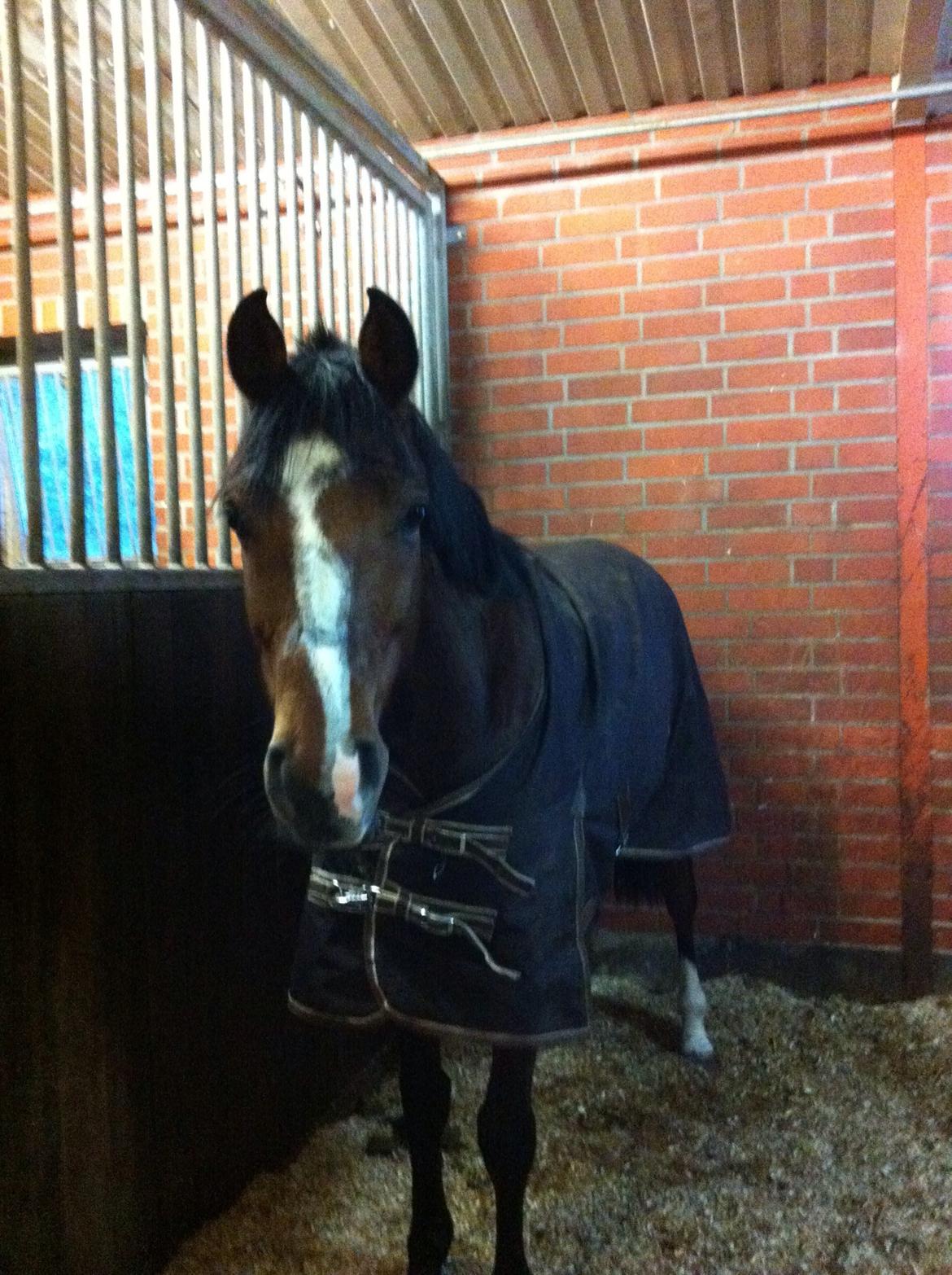 DSP Kovu A billede 1