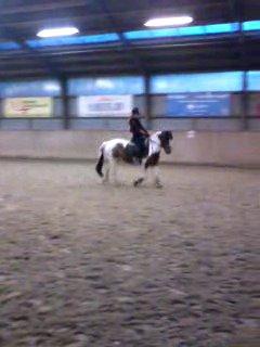 Pinto Gaisha - Træning til stævne;) billede 31