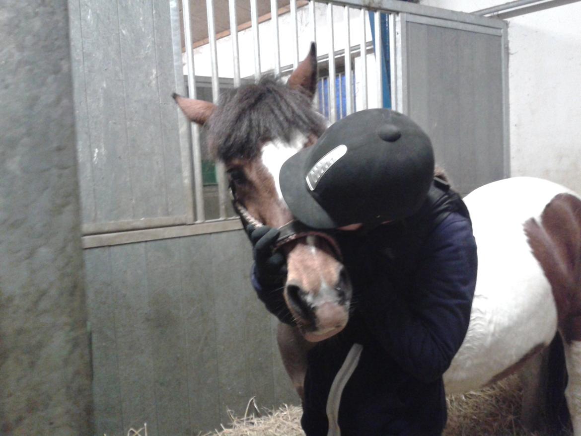 Pinto Gaisha - Møøøøøs<3 billede 32