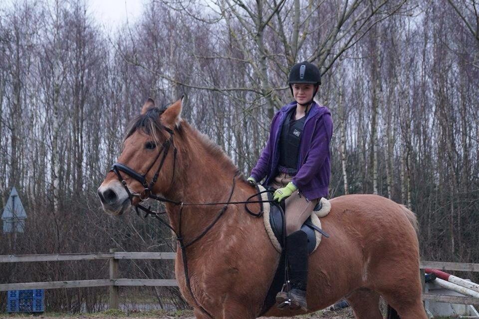 Anden særlig race Fidler billede 2