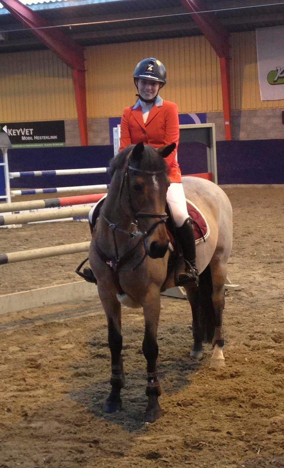 Irsk Sportspony Copper Caramel billede 3