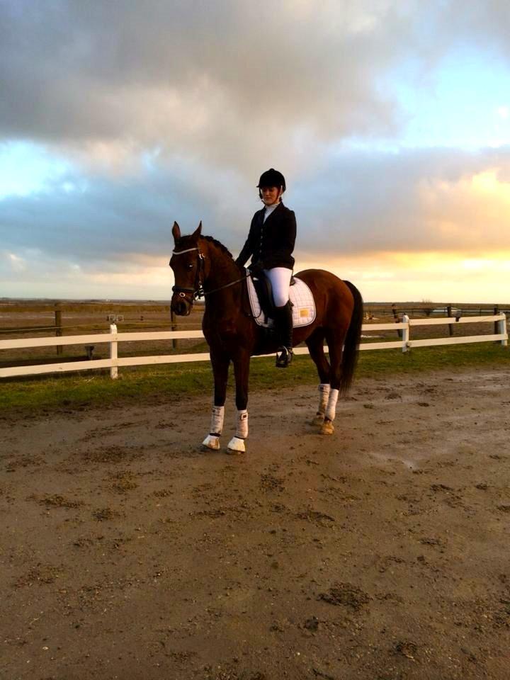 Anden særlig race Beauty Kronborg billede 6