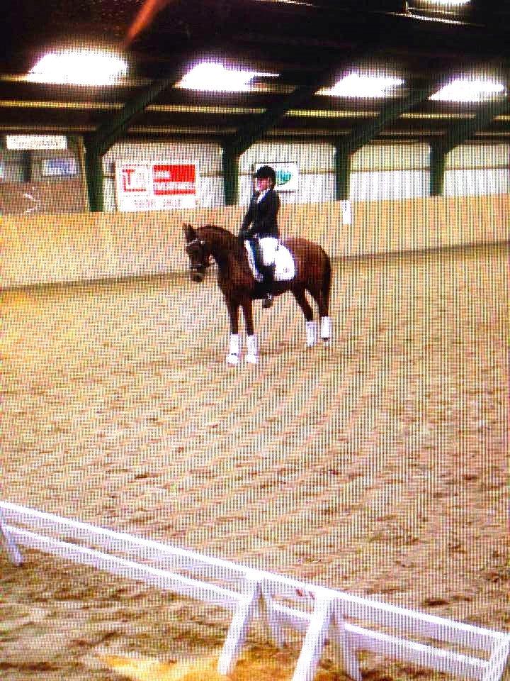 Anden særlig race Beauty Kronborg billede 13