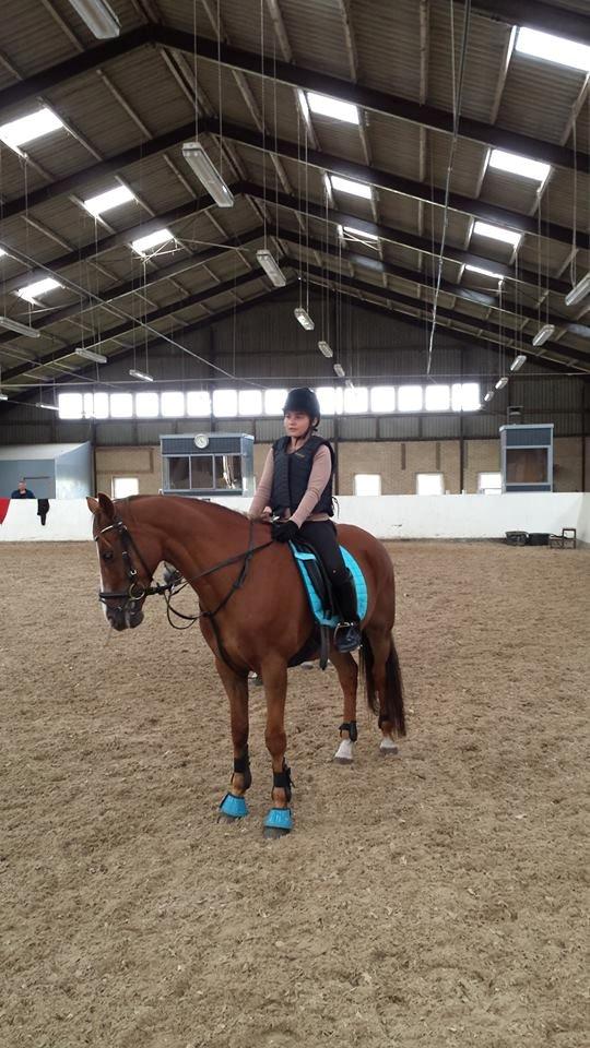 Anden særlig race Lions - Et billed taget fra laaaang tid siden hvor jeg sprang på ham! <3 billede 8