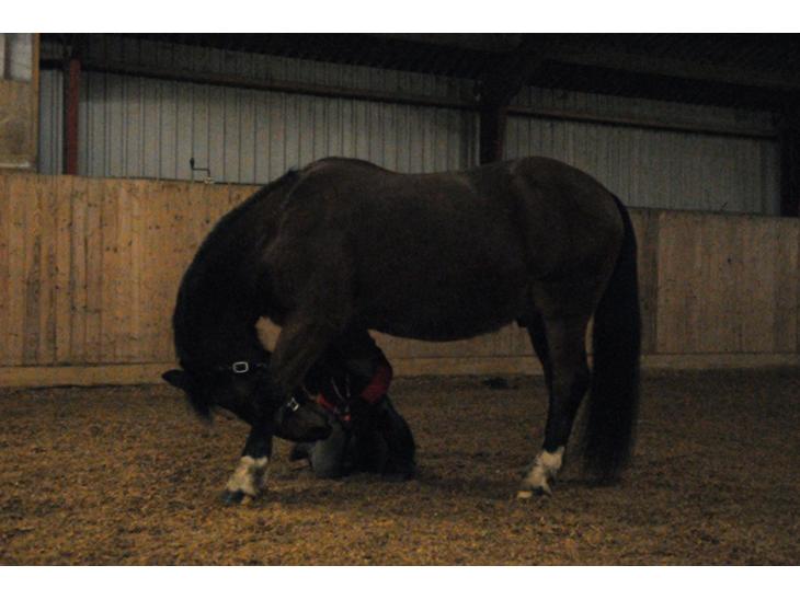 {{currentPhoto.altText}} billede {{currentPhoto.number}}