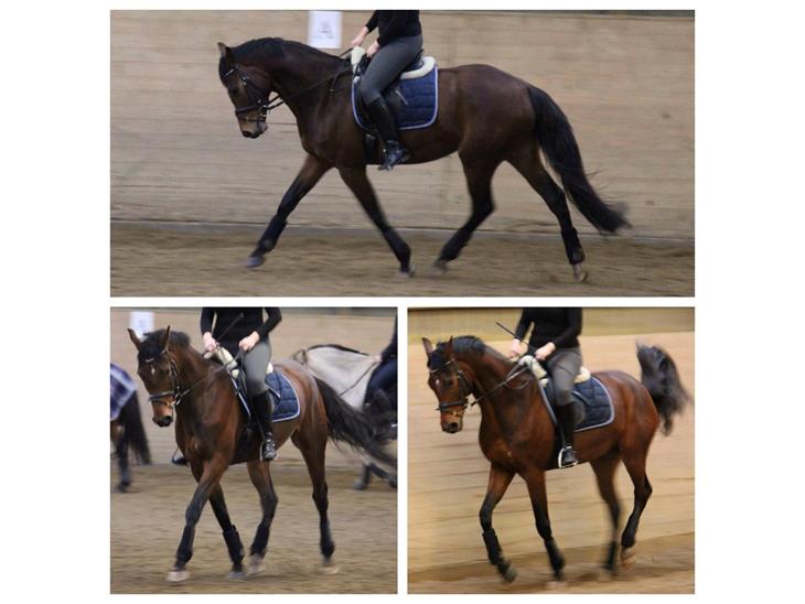 {{currentPhoto.altText}} billede {{currentPhoto.number}}