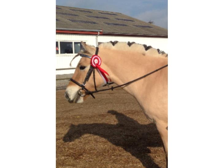 {{currentPhoto.altText}} billede {{currentPhoto.number}}