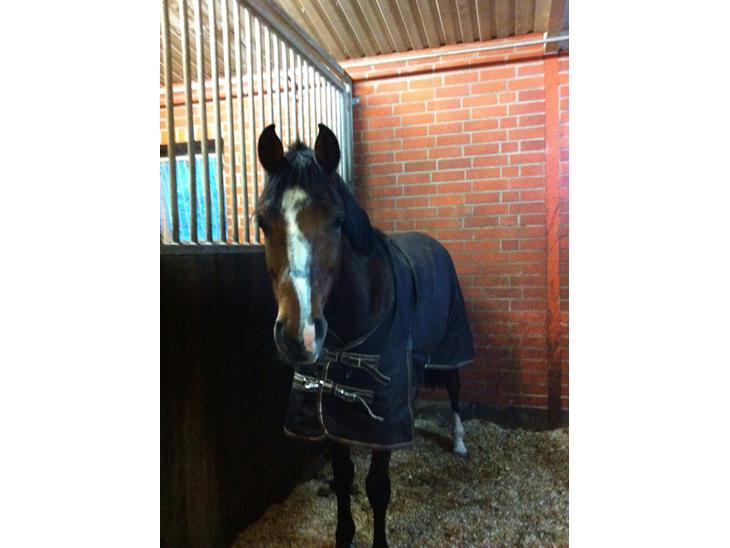 {{currentPhoto.altText}} billede {{currentPhoto.number}}