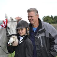 Welsh Pony (sec B) Foxy