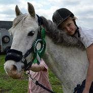 Welsh Pony (sec B) Foxy