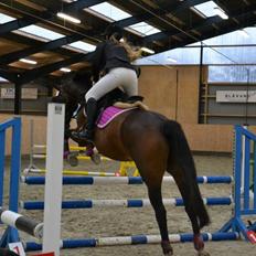 Anden særlig race Gaillarde de Osnard "Oda" <3