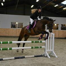 Anden særlig race Gaillarde de Osnard "Oda" <3