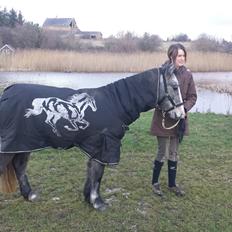 Anden særlig race Kroghsgaards Mira