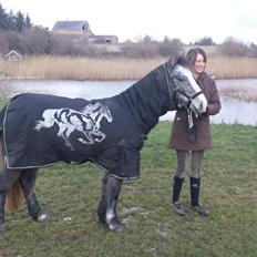 Anden særlig race Kroghsgaards Mira