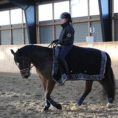 New Forest | Elmholts Scharett