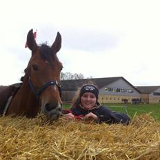 Anden særlig race Santina