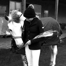 Anden særlig race Ellegårdens Bjarne a.k.a Casmir