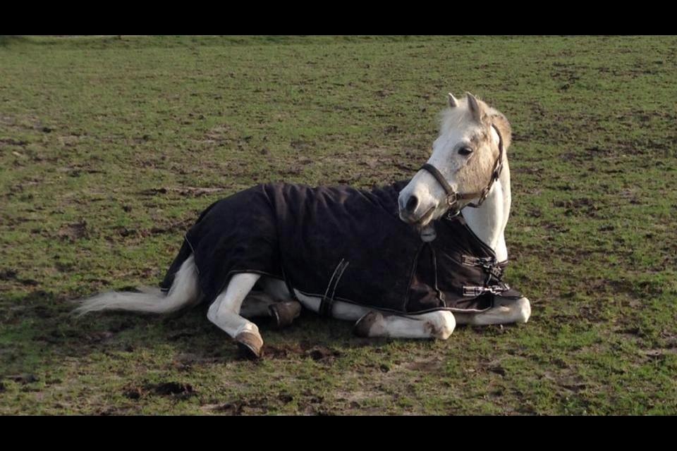 Anden særlig race Tarzan - Søde Tarzan billede 1