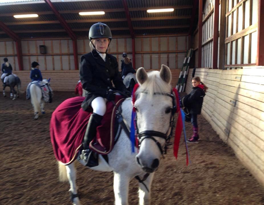 Anden særlig race Tarzan - Stævne billede 5