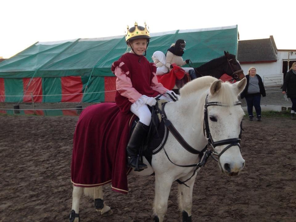 Anden særlig race Tarzan - Julestævne billede 6