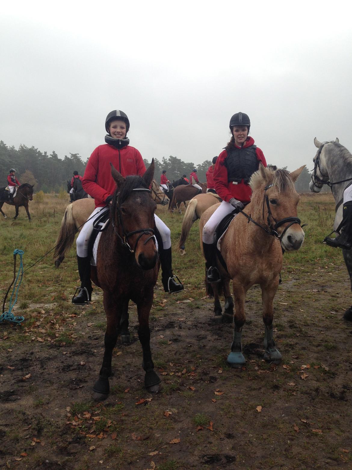 Fjordhest Kastanielystens Celina - Jagt den 27 oktober 2013, det var hyggeligt sammen med Cecilie og hendes søde hyp hest <3 billede 22