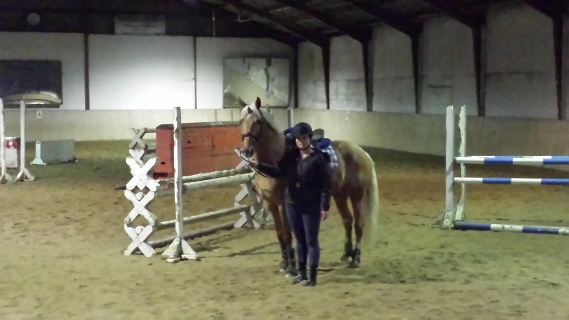 Palomino Golden Is Our Motto - Velkommen til Motto :-)  billede 5