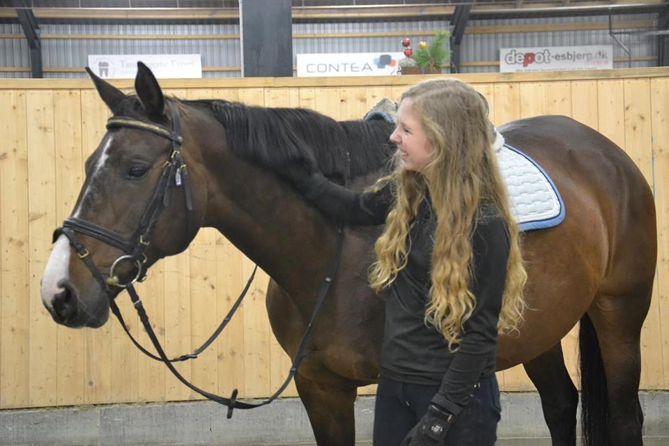 Anden særlig race Gaillarde de Osnard "Oda" <3 - 3 Ord! Jeg Elsker Dig! <3 billede 1