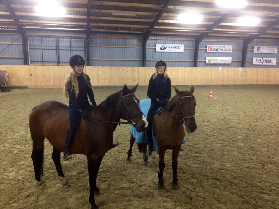 Anden særlig race Gaillarde de Osnard "Oda" <3 - Da vi red uden saddel for første gang! <3 billede 18