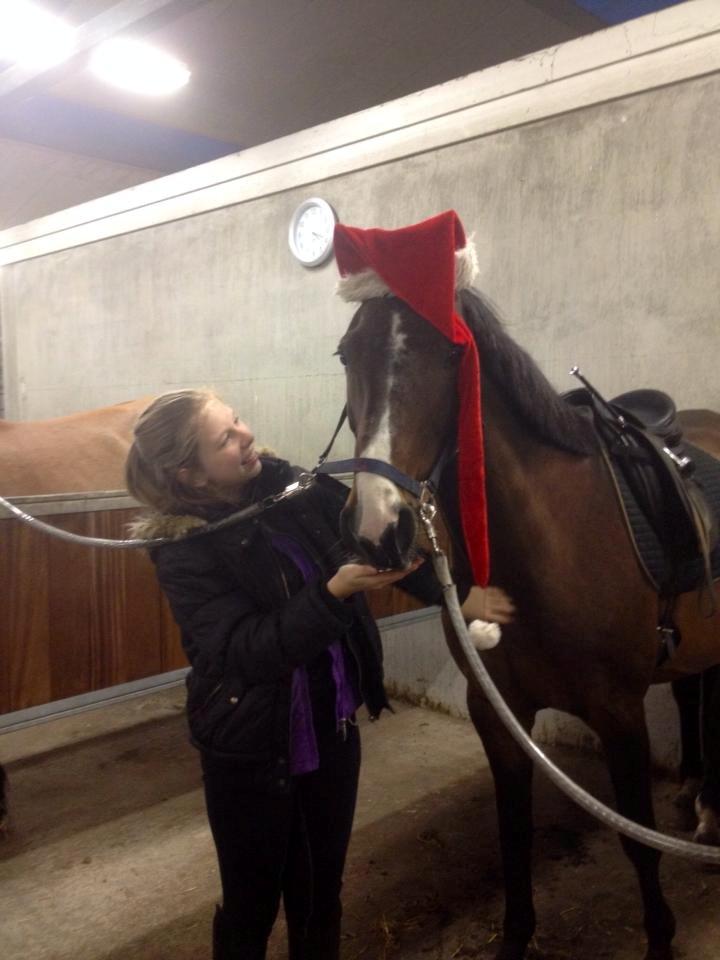 Anden særlig race Gaillarde de Osnard "Oda" <3 - Julen 2013 <3 billede 19