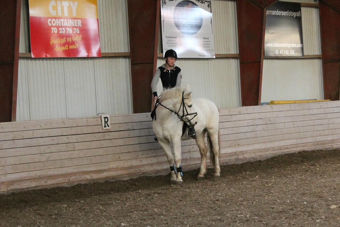 Anden særlig race Bandit <3 - Soulmate - fine pony :* billede 19