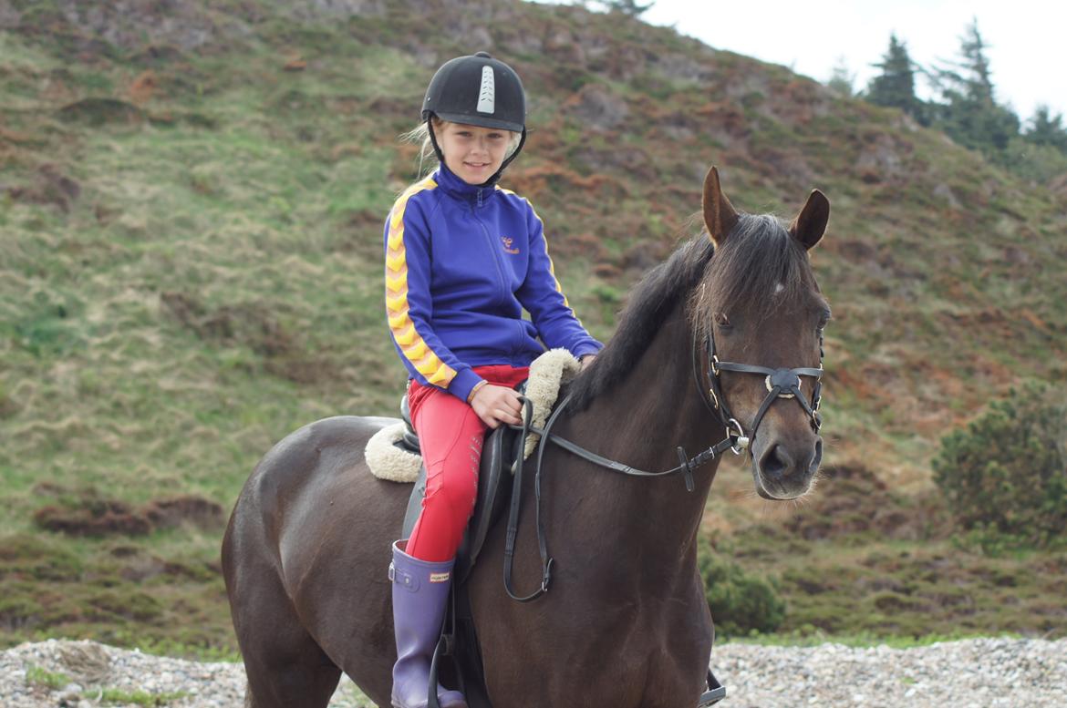 Anden særlig race Ibrahim - På stranden <3 billede 5