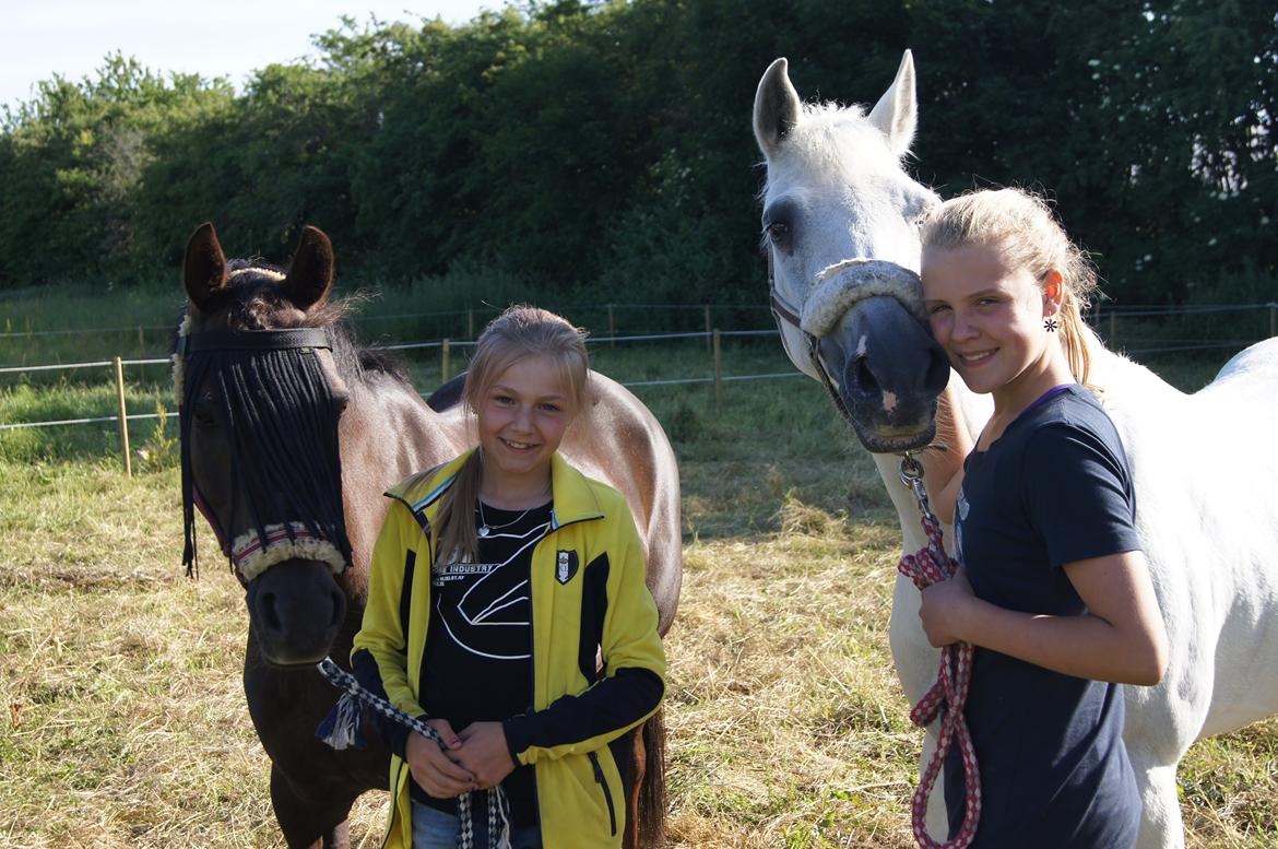 Anden særlig race Ibrahim - ridelejr 2013, med Mathilde og Izara <3 <3 billede 8